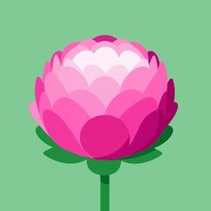 Meet your Posher, Adi